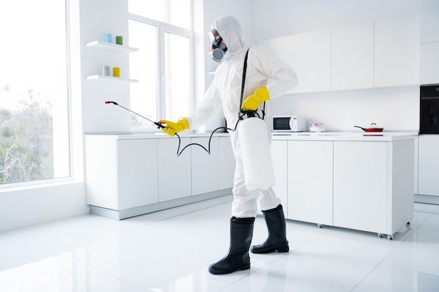 Professional Pest Control Services In Conroe TX